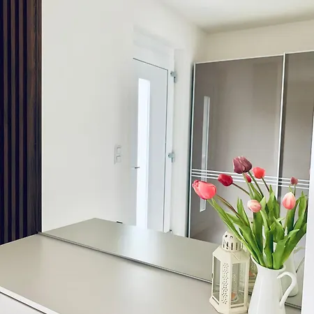 Boutique House Vila *
